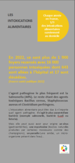 Dépliants prévention accidents vie courante – Image 3