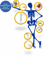 Simulateur de TMS – Image 19
