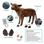 Simulateur de VEAU – Image 6