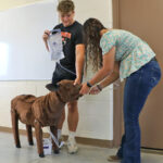 Simulateur de VEAU – Image 5