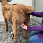 Simulateur de VEAU – Image 4