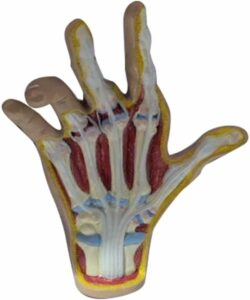 simulateur de TMS - simulateur de Troubles musculosquelettiques