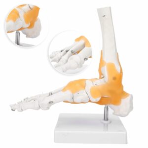 simulateur de TMS - simulateur de Troubles musculosquelettiques