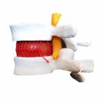 Simulateur de TMS – Image 10