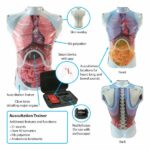 Simulateur d’AUSCULTATION – Image 2