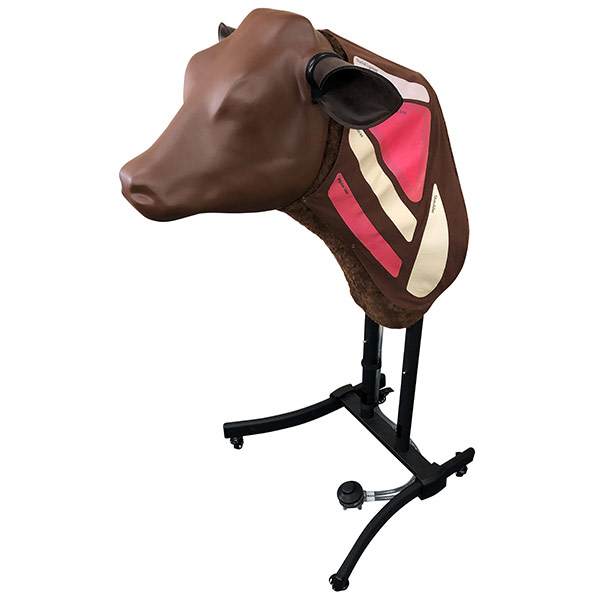 simulateur_d_injection_bovine Simulateur d’INJECTION BOVINE – Image 1