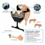 Simulateur d’INSEMINATION ARTIFICIELLE PORCINS « SWINE BREEDER » – Image 4