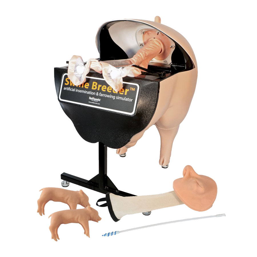 simulateur_d_insemination_de_truie_chez_les_porcins Simulateur d’INSEMINATION ARTIFICIELLE PORCINS « SWINE BREEDER » – Image 1