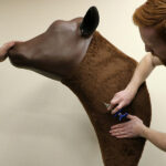 Simulateur d’INJECTION BOVINE – Image 3