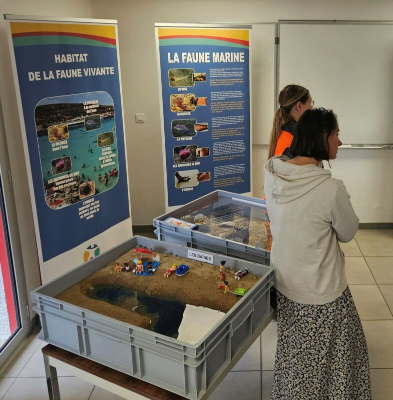 ACTUALITES & NEWLETTER 3 ANIMATION DANGERS PLAGE