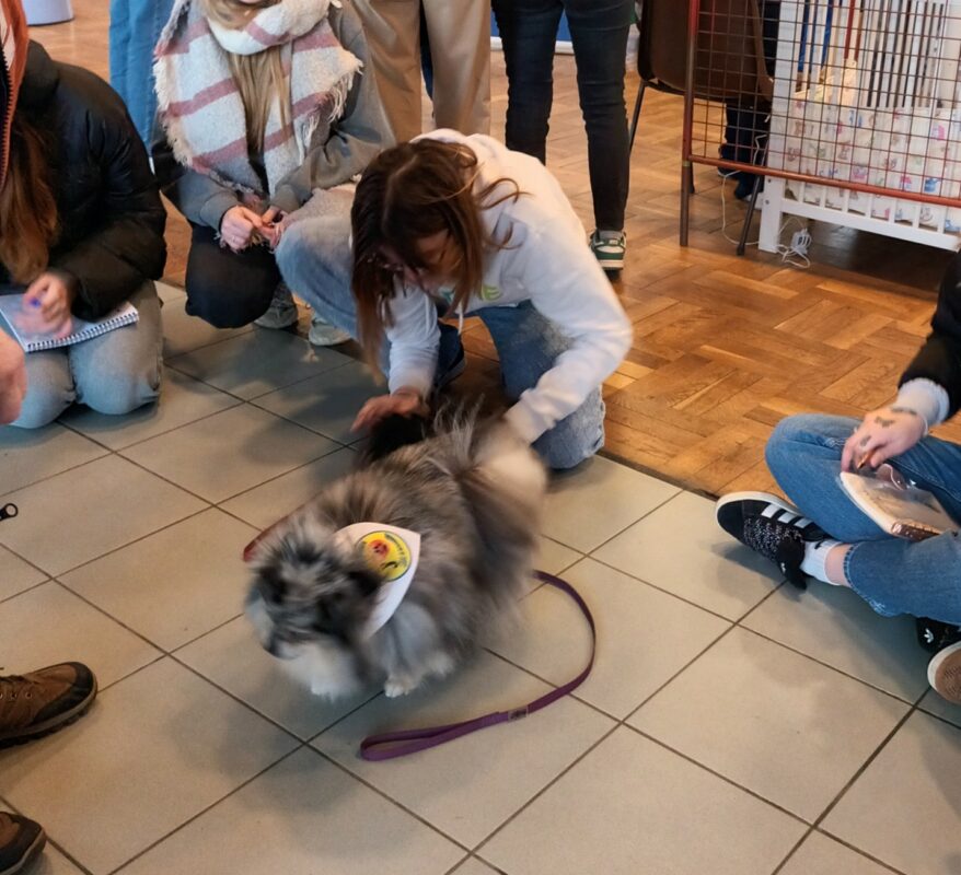 atelier pour prévenir les risques avec les animaux