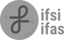 ifsi ifas amboise